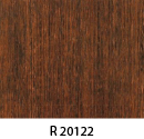 r20122