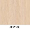 r22248