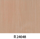 r24048