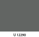 u12290