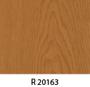 r20163